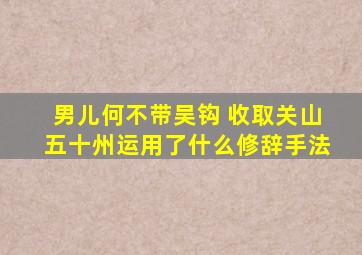 男儿何不带吴钩 收取关山五十州运用了什么修辞手法